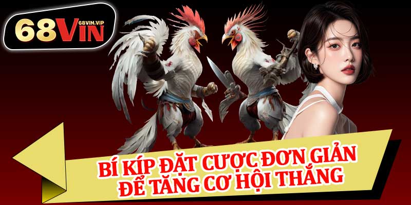 Bí Kíp Đặt Cược Đơn Giản Để Tăng Cơ Hội Thắng